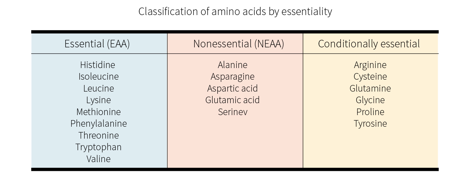 Classification of amino acids by essentiality