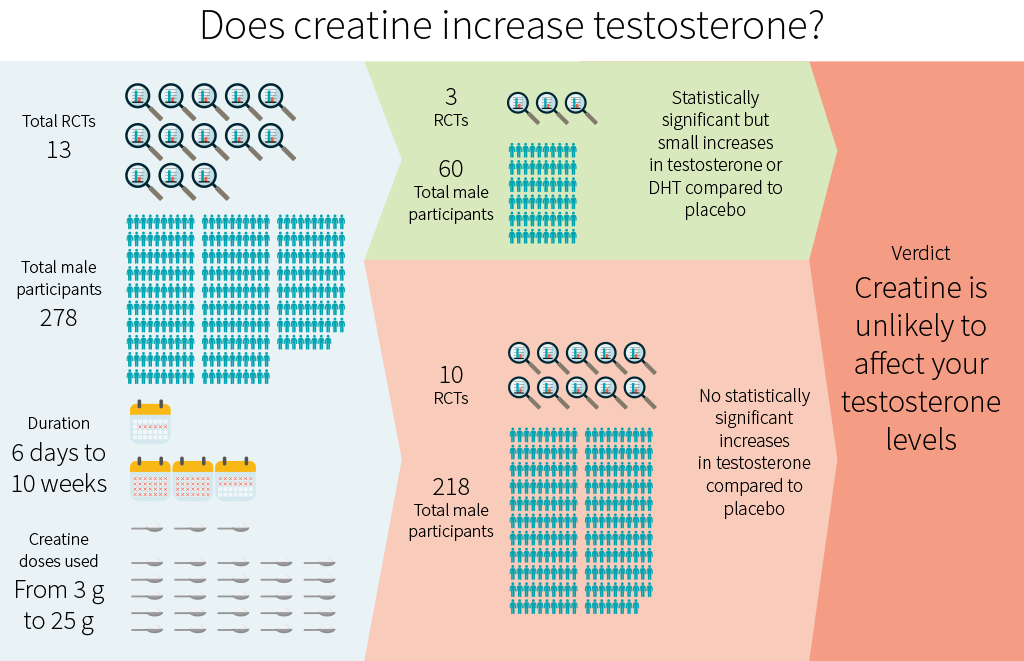 Does creatine increase testosterone?