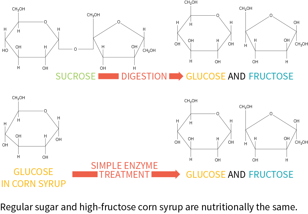 High Fructose Corn Syrup. High Fructose Syrup. Corn glucose Syrup. Sucrose glucose.