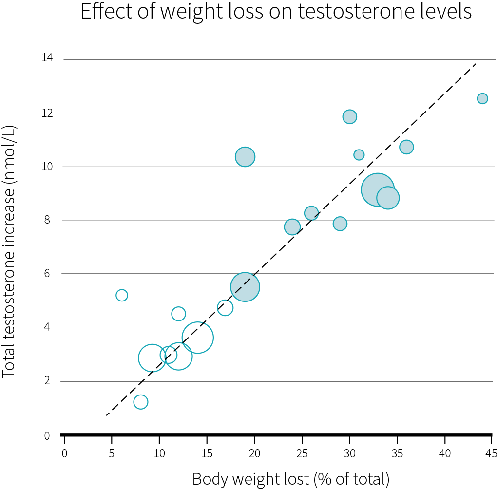 Effect of weight loss on testosterone levels