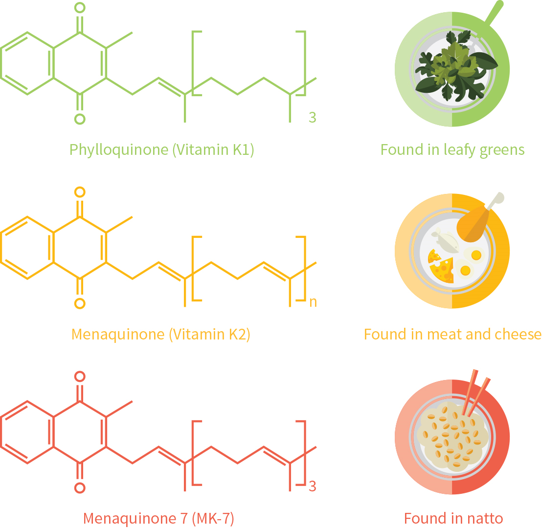 Vitamin (K)ardiovascular health? Study Deep Dives