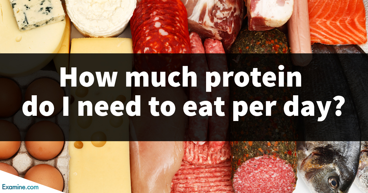 How Much Protein Do You Need Per Day 4658