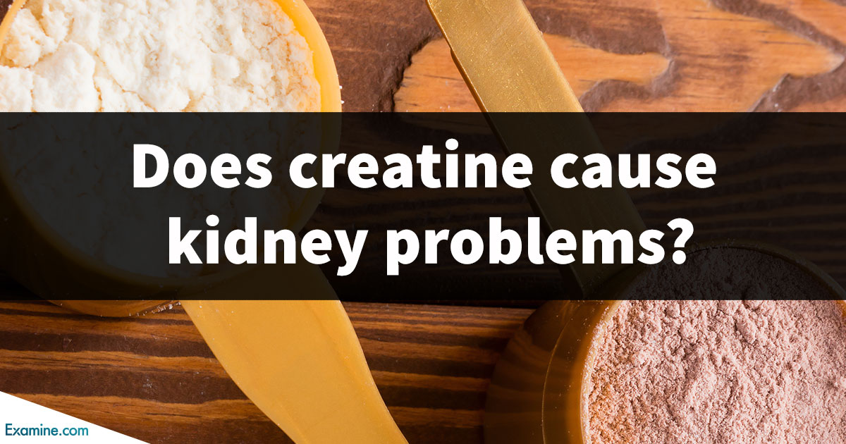 is-creatine-safe-for-your-kidneys-examine