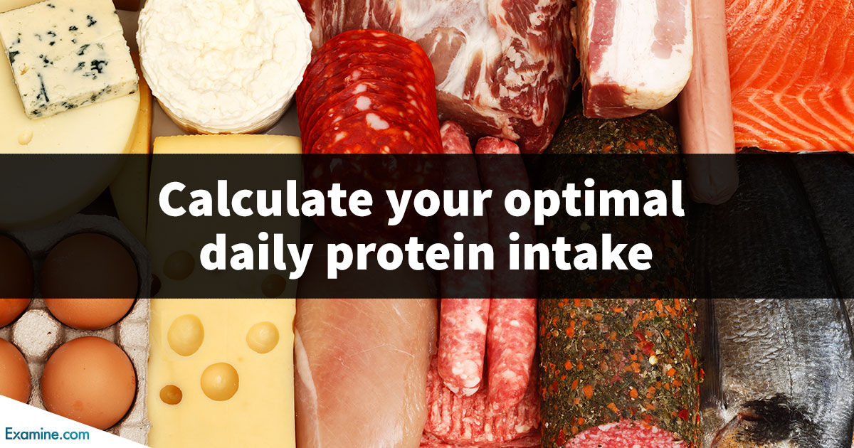 Protein Calculator: calculate your optimal daily need | Examine.com